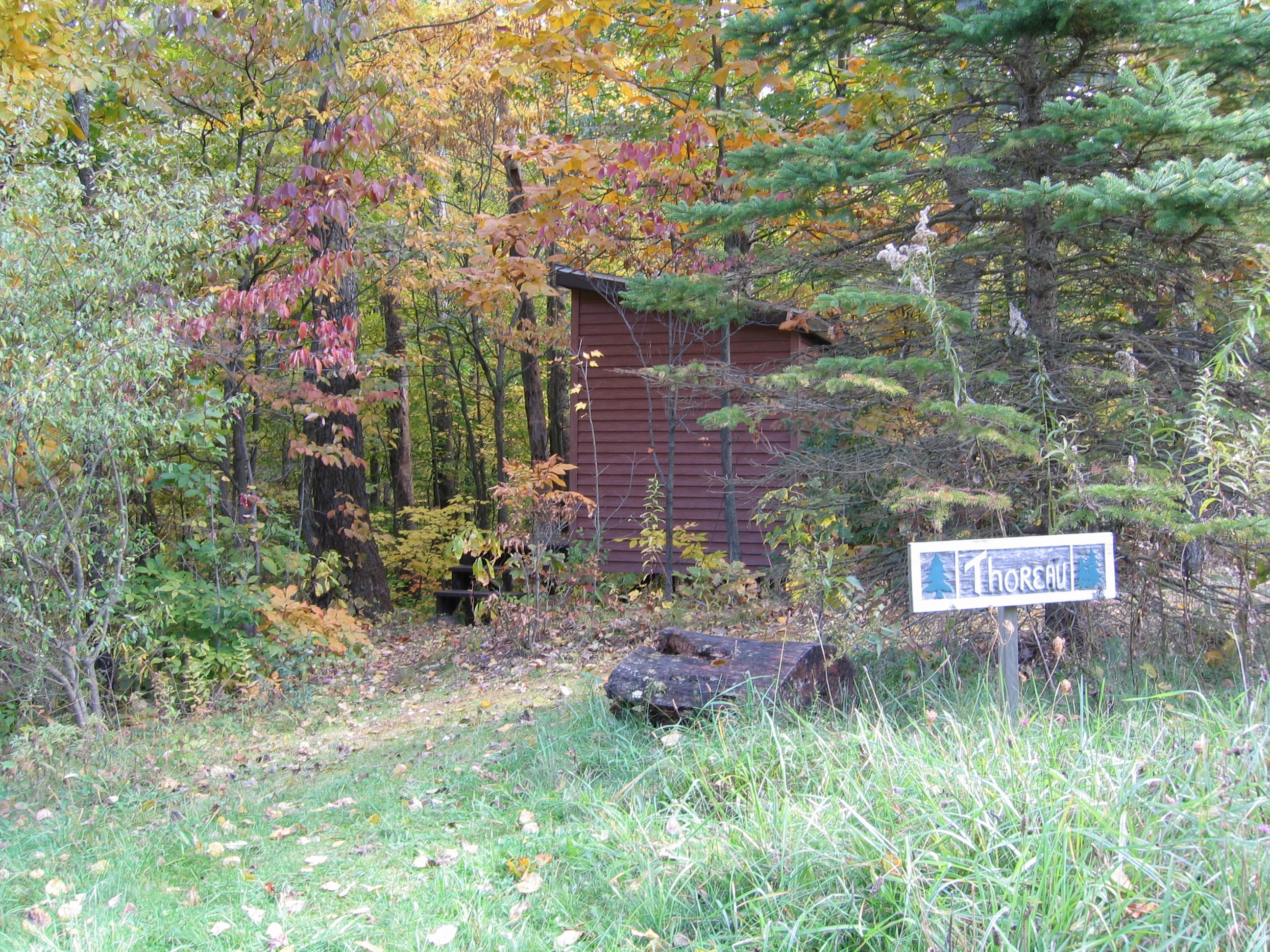Thoreau cabin in the woods