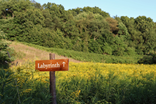 Labyrinth sign 